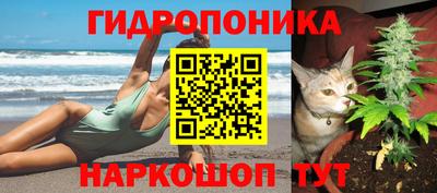 ECSTASY Краснодар