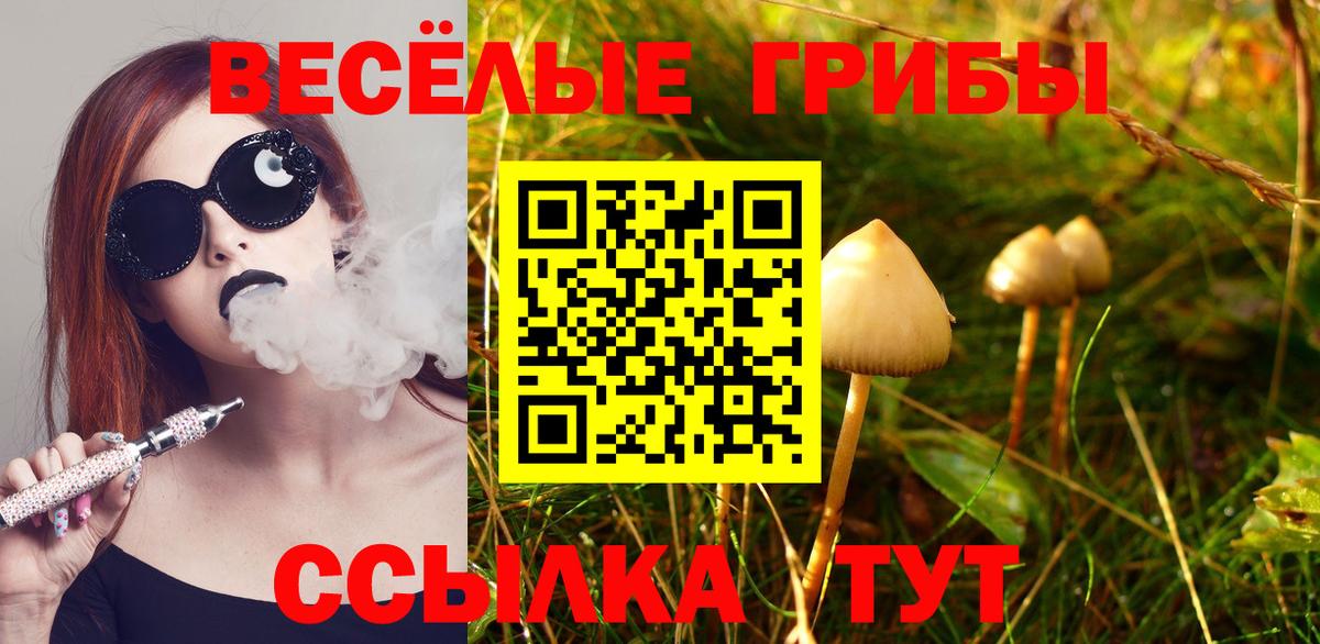Галлюциногенные грибы Psilocybe Кировск