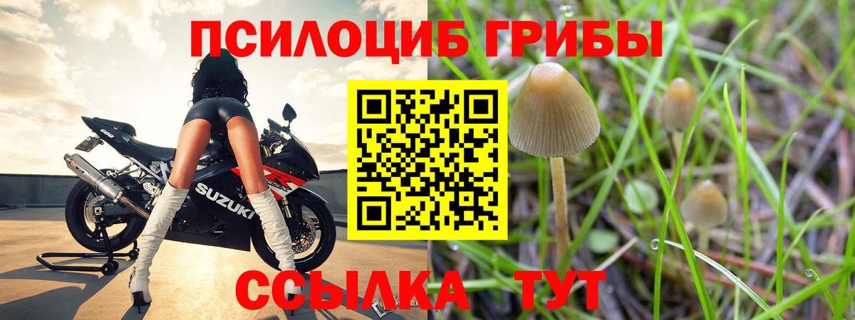 Галлюциногенные грибы MAGIC MUSHROOMS  Вход с VPN  Псилоцибиновые грибы Psilocybe  Кировск 
